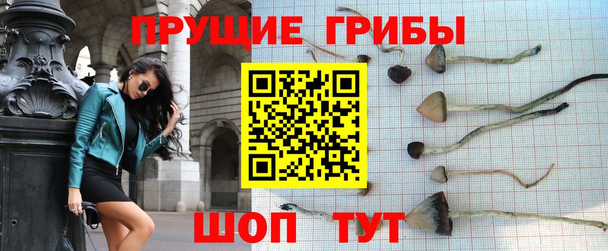 Галлюциногенные грибы Psilocybe  Вход с VPN  Белово 