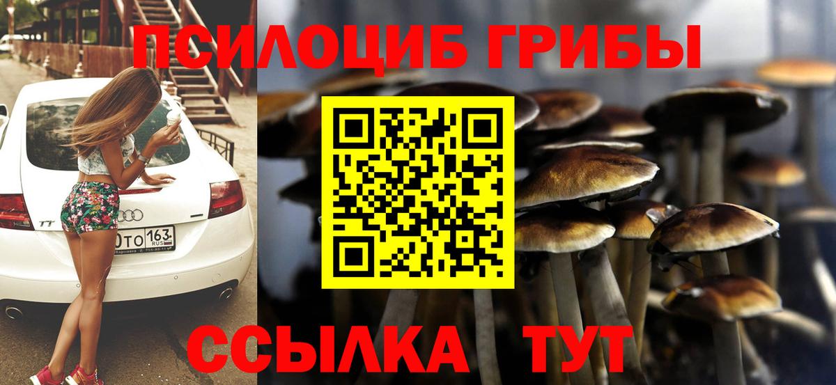 Псилоцибиновые грибы Psilocybine cubensis Белово